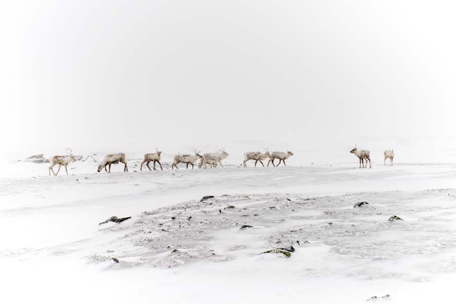 Skitouren Skandinavien