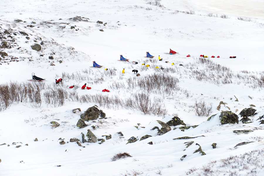 Langlaufen Skandinavien