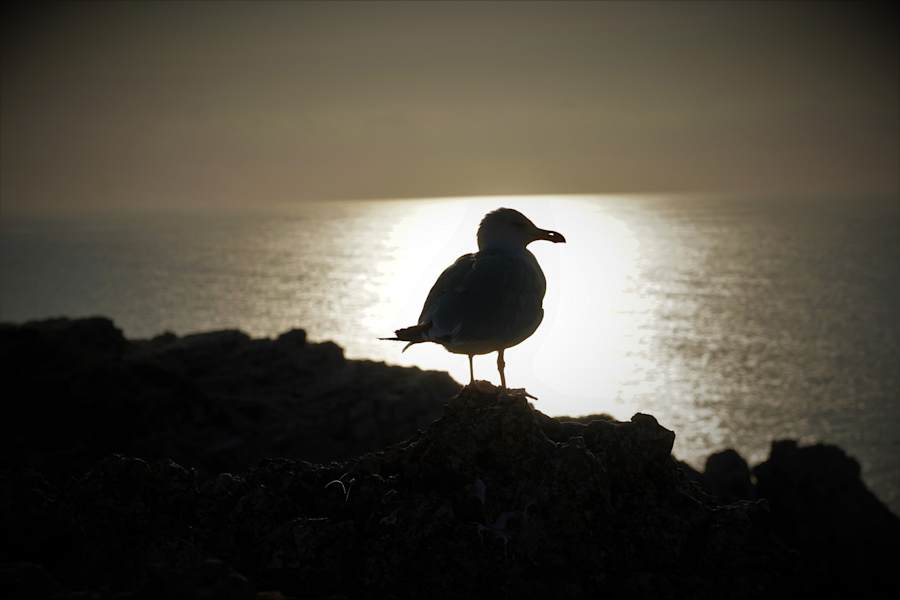 Rota Vicentina, Weitwandern in Portugals