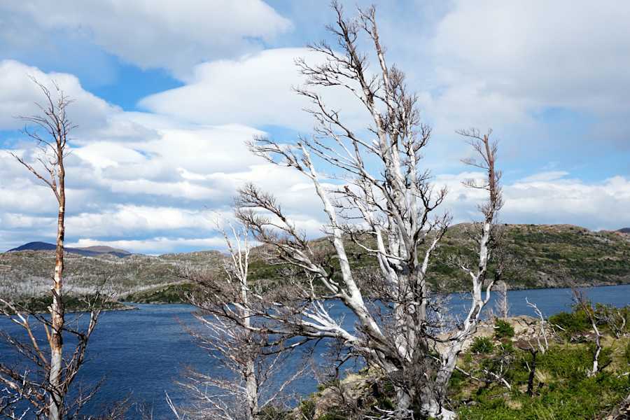 Nationalpark Torres del Paine in Chile