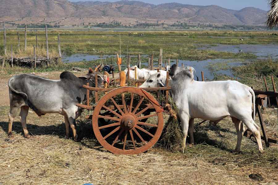 Reise Wandern Myanmar
