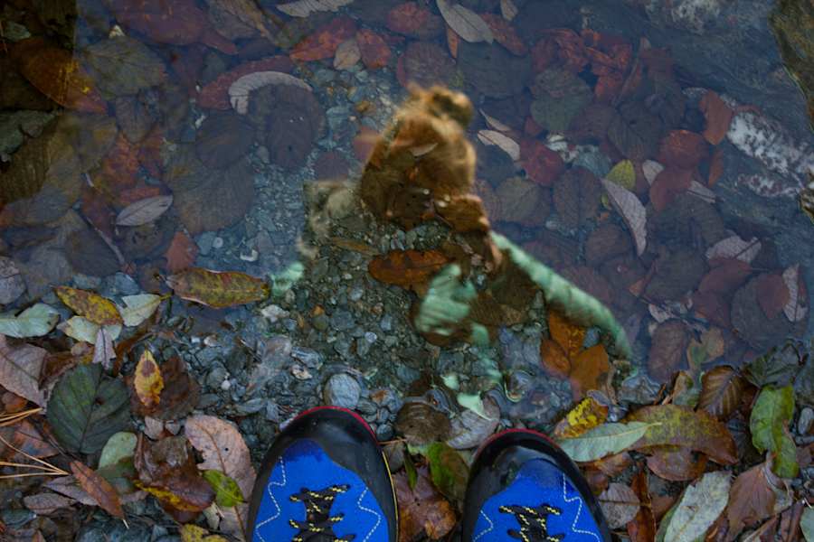 Die Autorin beim Fotografieren im Bach