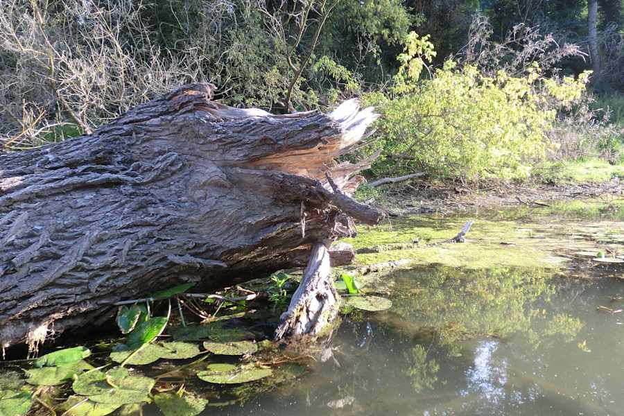 Nationalpark Donau-Auen