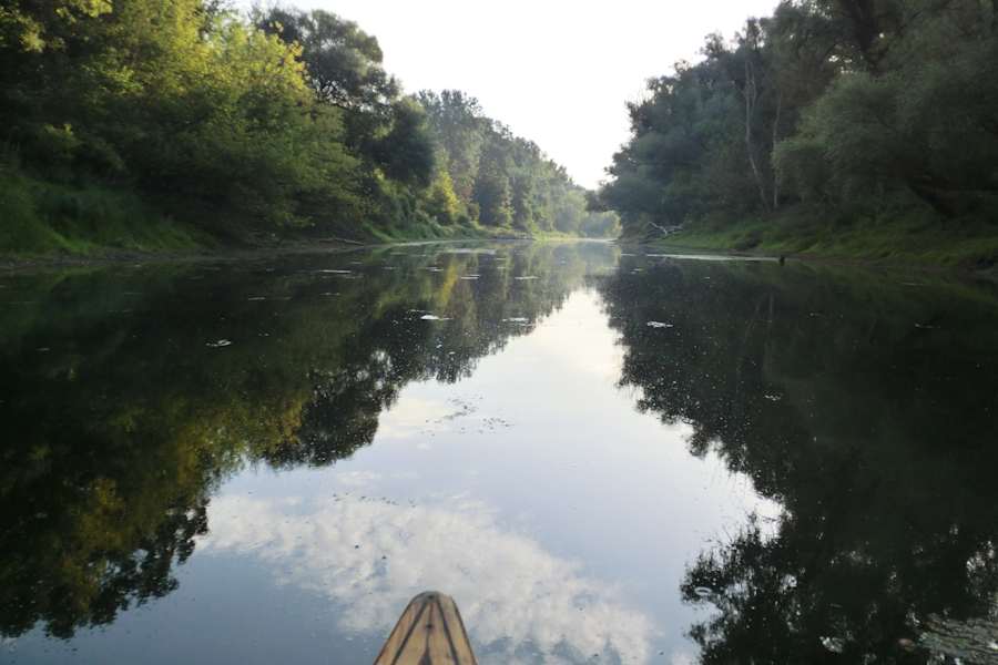 Nationalpark Donau-Auen