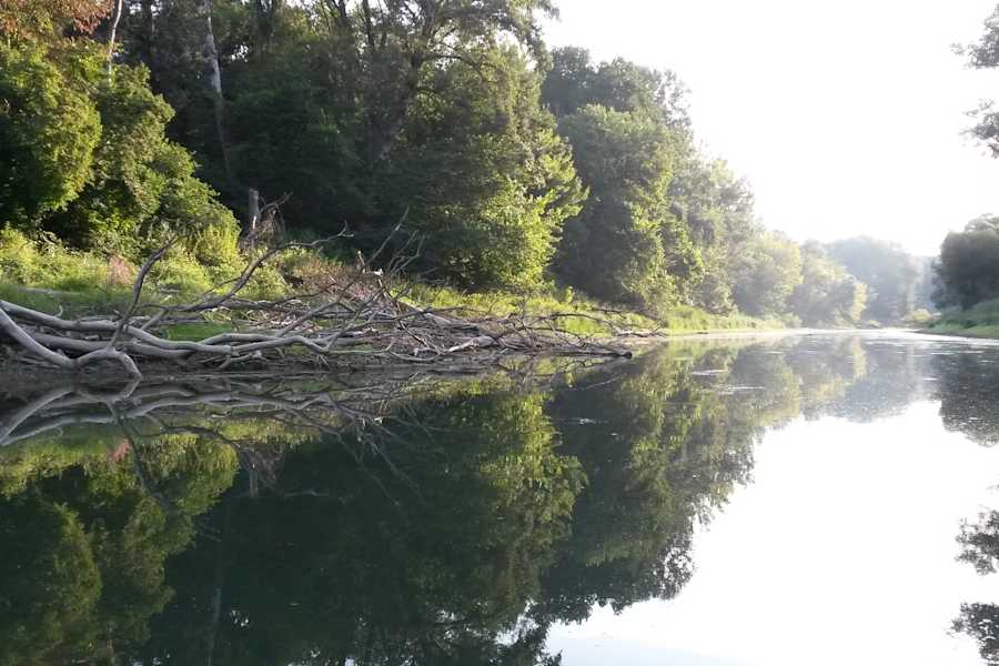 Nationalpark Donau-Auen