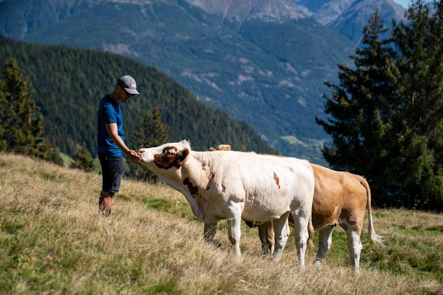 Ernst Merkinger wandert weit