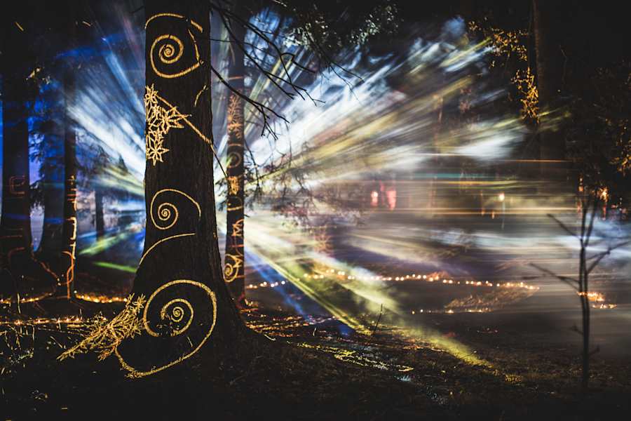 Zauberwald Lenzerheide