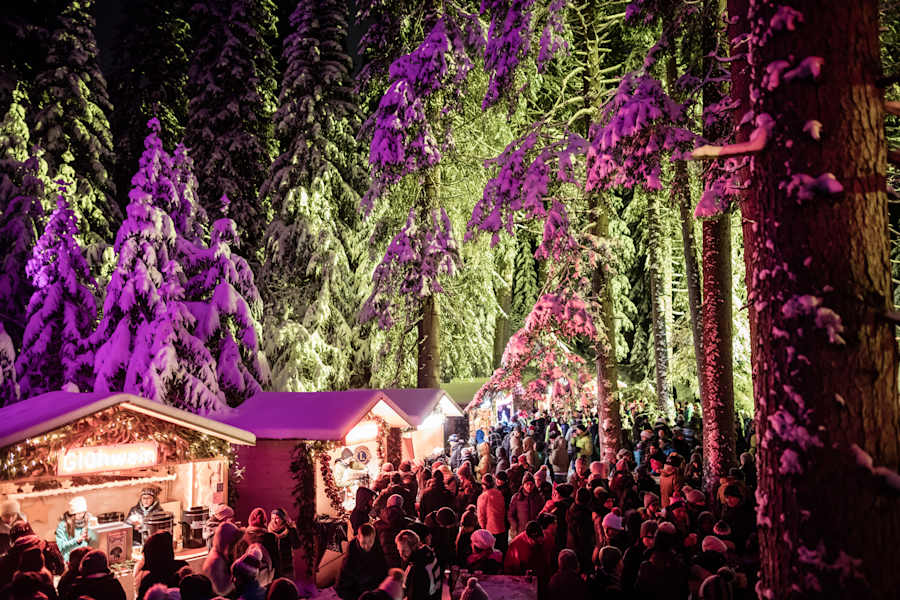 Zauberwald Lenzerheide