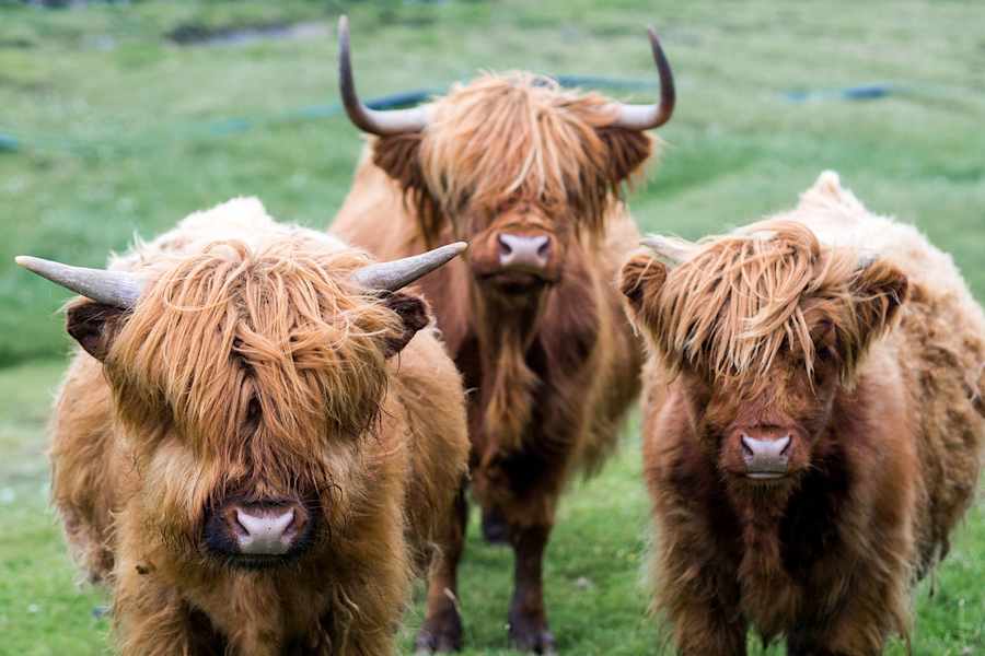 Färöer Inseln Wandern
