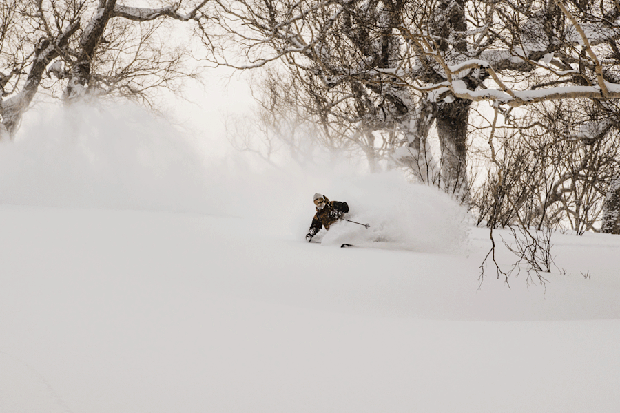 Schwereloses Vergnügen im lichten Birkenwald von Kiroro