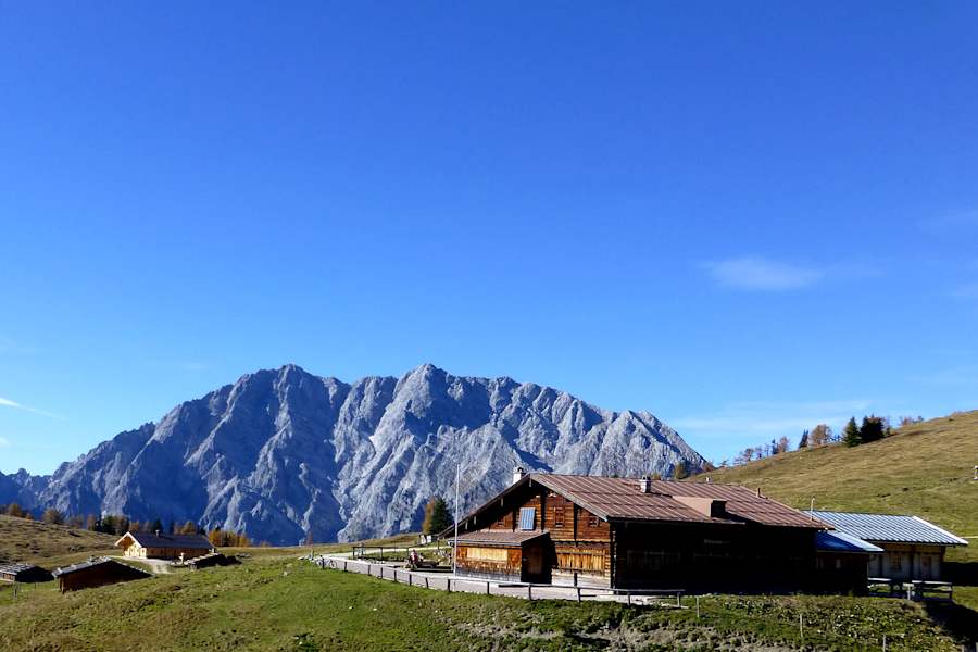 Ruhepunkt mit Watzmann-Blick: Gotzenalm (1.110 m), Berchtesgadener Land