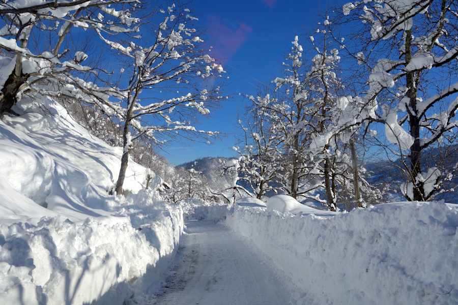 Reise Freeriden Georgien Bakhmaro