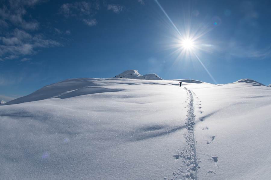 Skitouren Alaska Flugzeug Guschlbauer Bergwelten