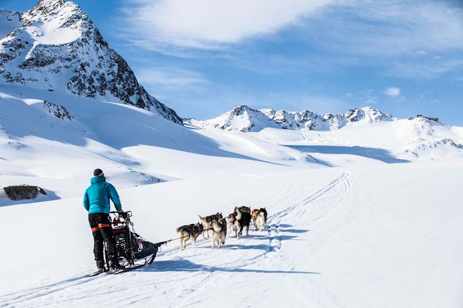 Heimatleuchten: Die Tour der Wolfshunde