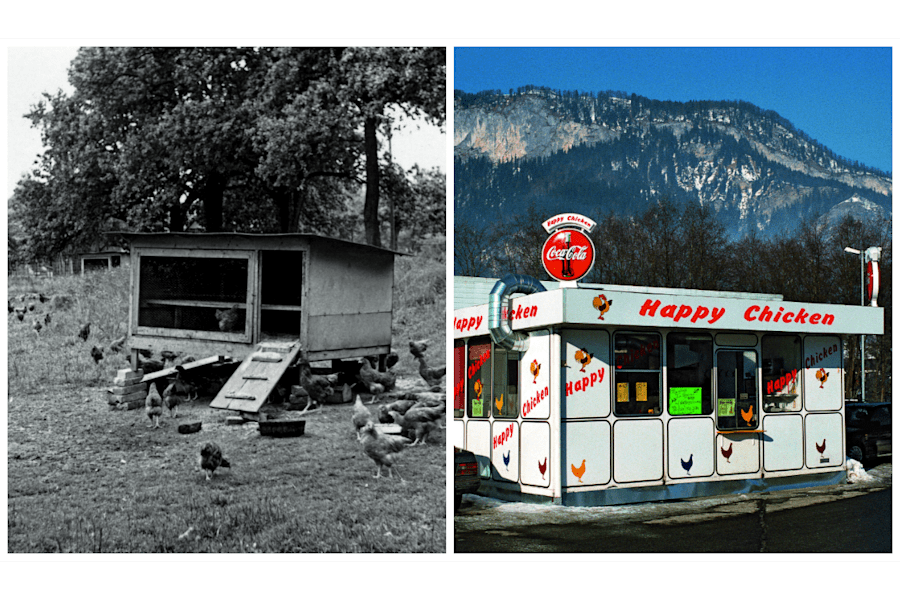 Buch: Lois Heckenblaikner: „Hinter den Bergen"