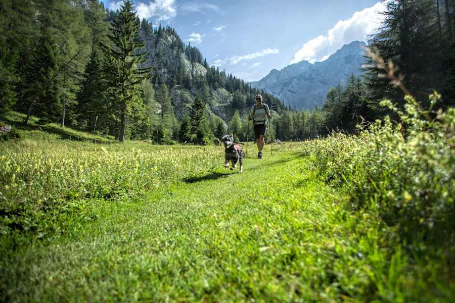 Hochschwab Foto-Blog