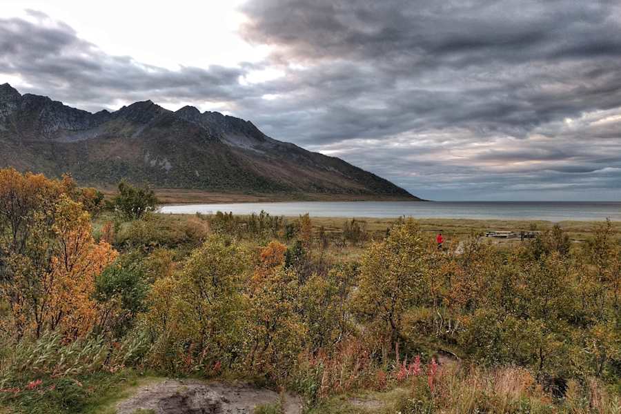 Senja Norwegen Reise