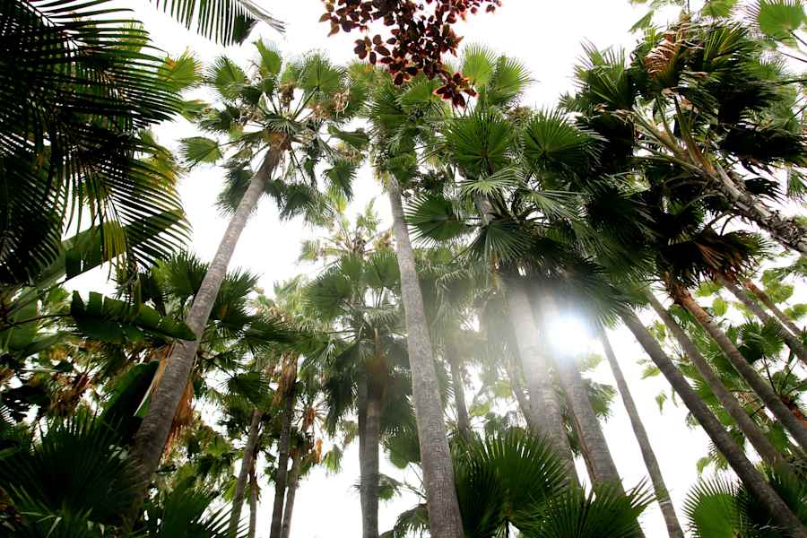 Teneriffa Teide Nationalpark
