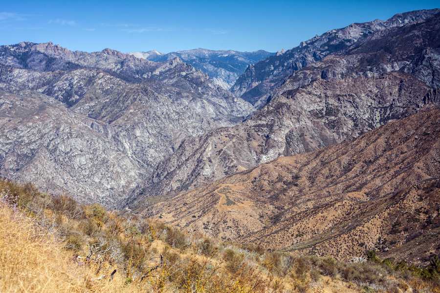 Mammutbäume Kalifornien Sierra Nevada