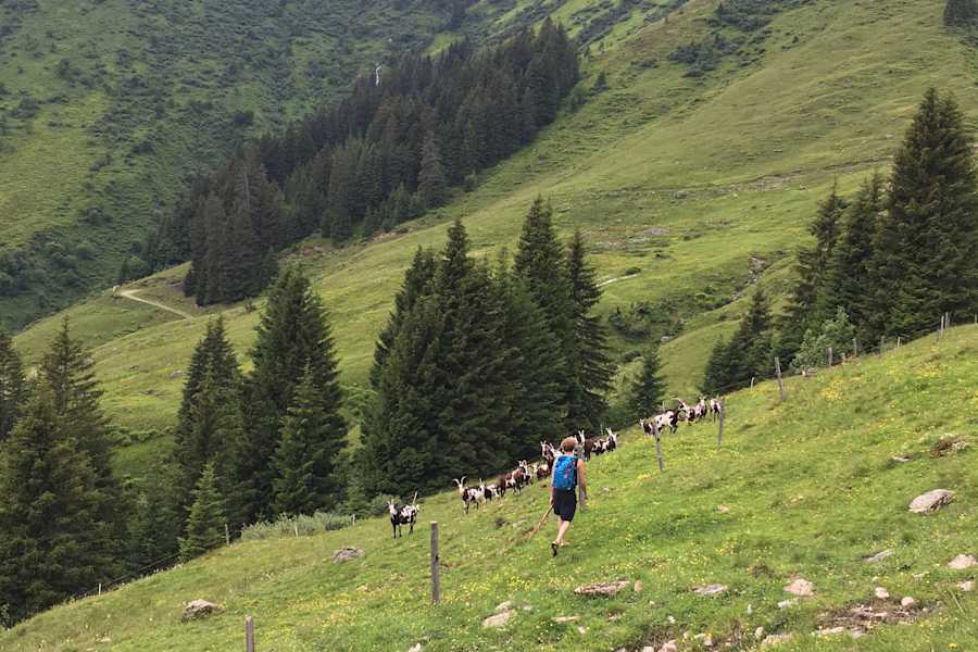 Bergwelten Hüttenwoche Saalbach Hinterglemm