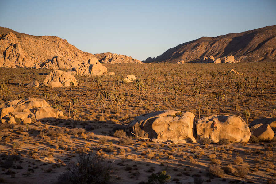 Joshua Tree Nationalpark Klettern