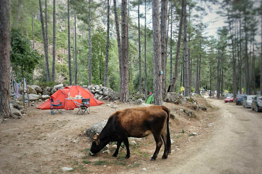 Reise Korsika Outdoor Wandern