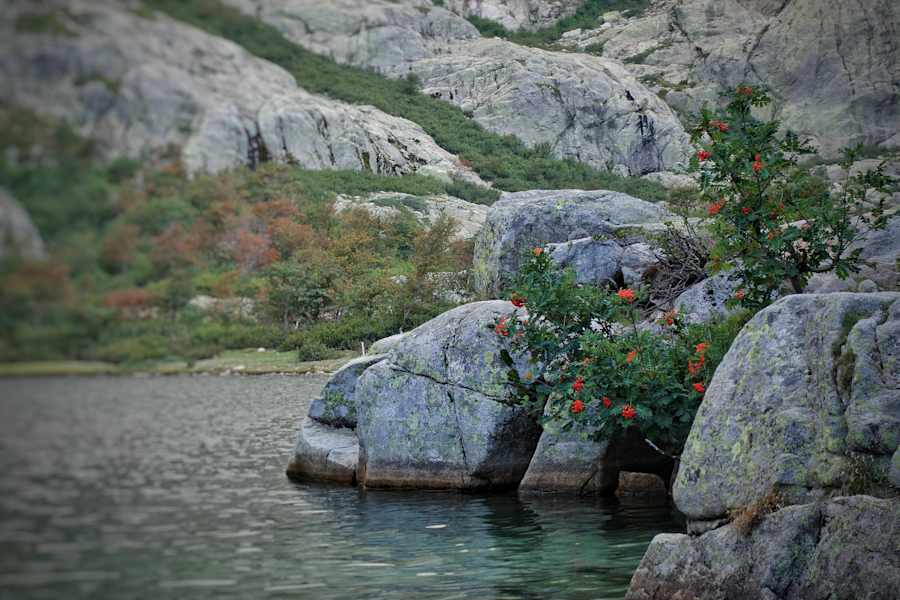 Reise Korsika Outdoor Wandern