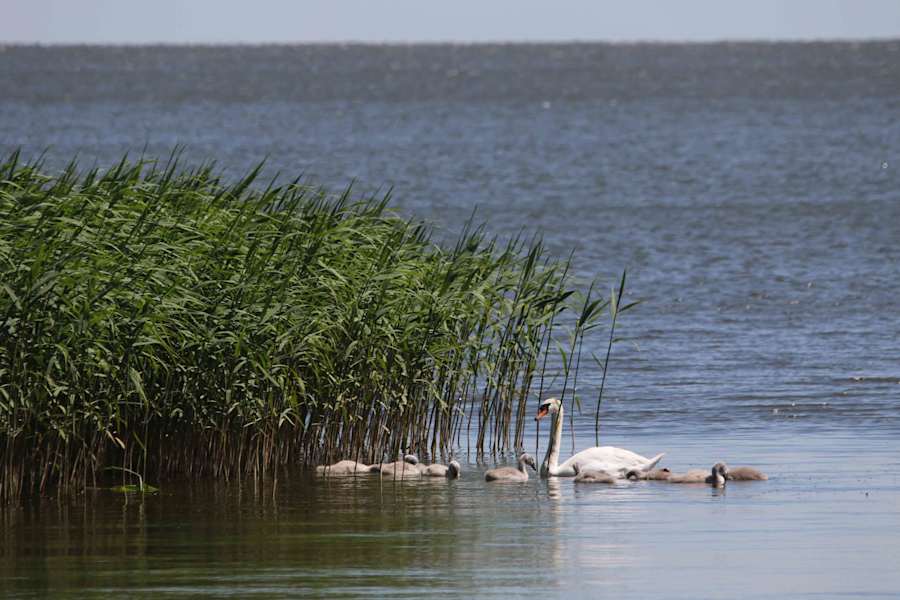 Kurische Nehrung Reise