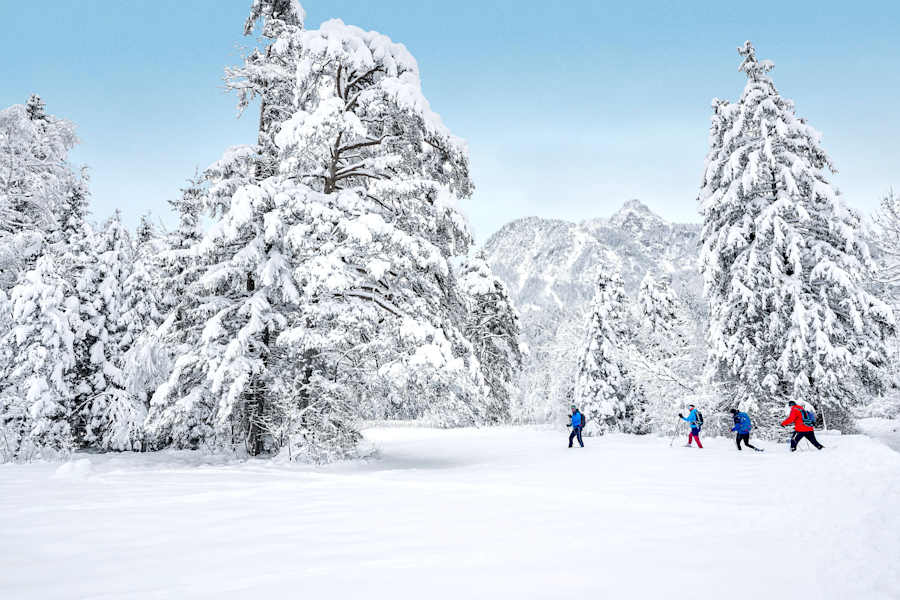 Winterwanderer im Schwanseepark