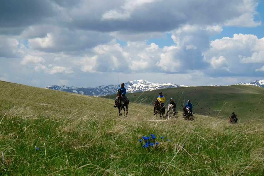 Die Entdeckung der Einsamkeit: Pferdereiten in Mazedonien