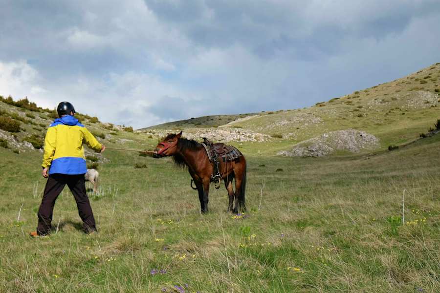 Die Entdeckung der Einsamkeit: Pferdereiten in Mazedonien