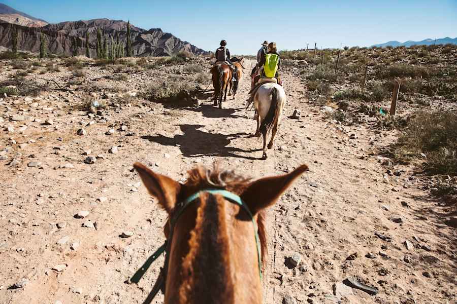 Bergwelten Argentinien