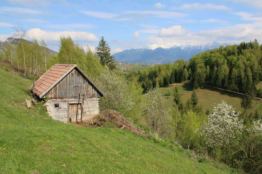 Reise Rumänien Karpaten Piatra Craiului Nationalpark