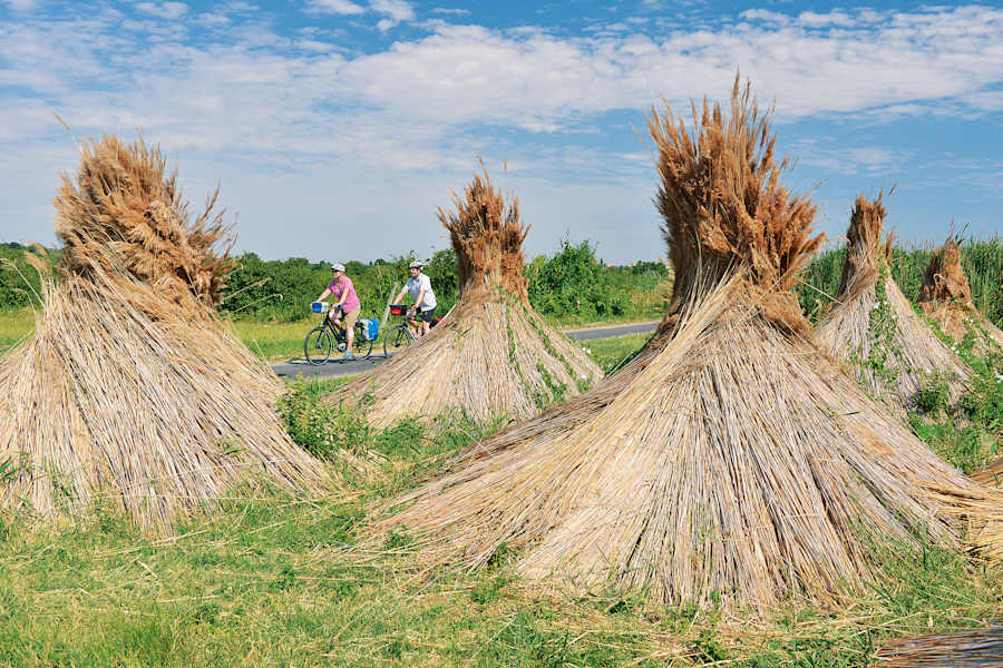 Neusiedler-See-Radweg