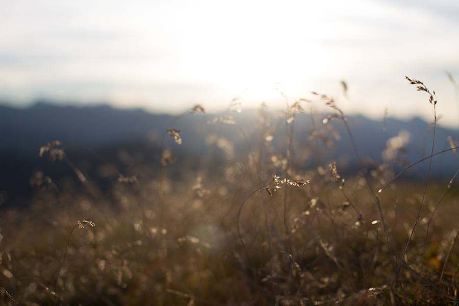 Auf der Nockspitze am Morgen