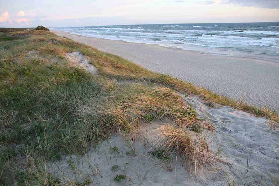 Kurische Nehrung Reise