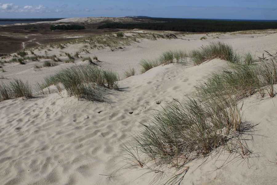 Kurische Nehrung Reise