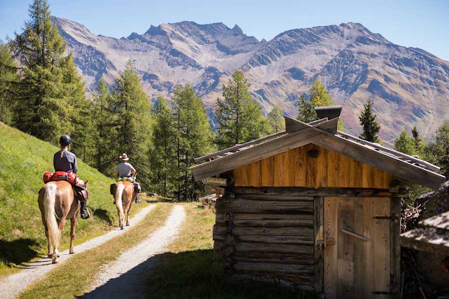 Beim Pferdetrekking im Tauferer Ahrntal in Südtirol heißt es aufsatteln und den Alltag hinter sich lassen