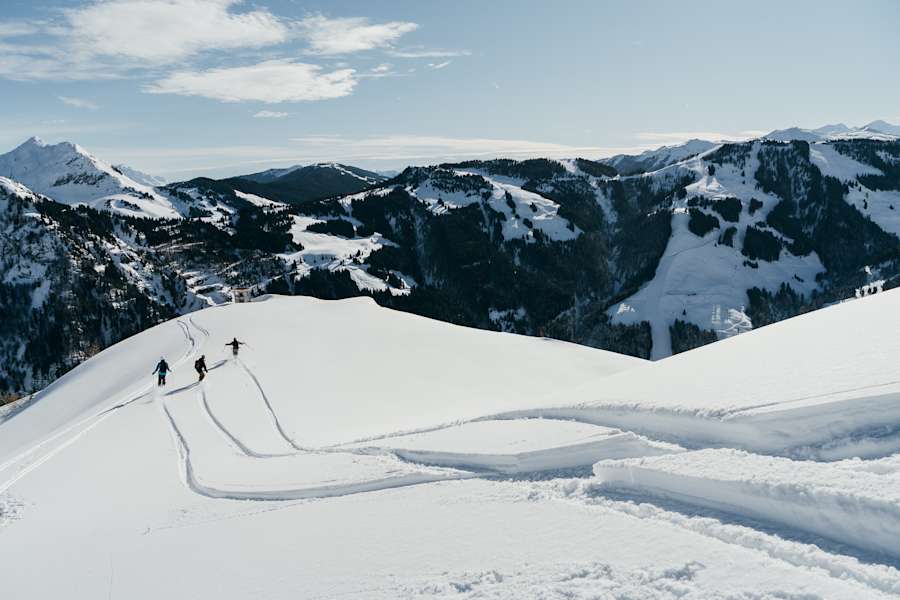 Friends on Powdderdays