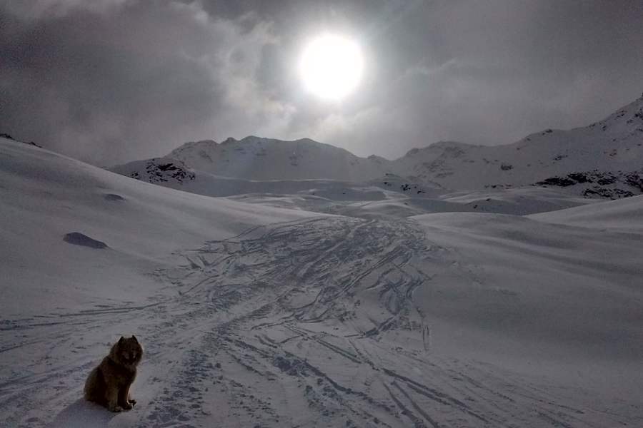 Skitour auf die Maurerspitz im Pflerschtal in Südtirol