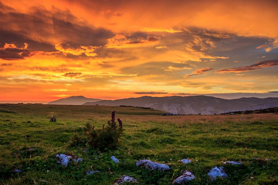 Mathias Kautzky Auf der Alm 