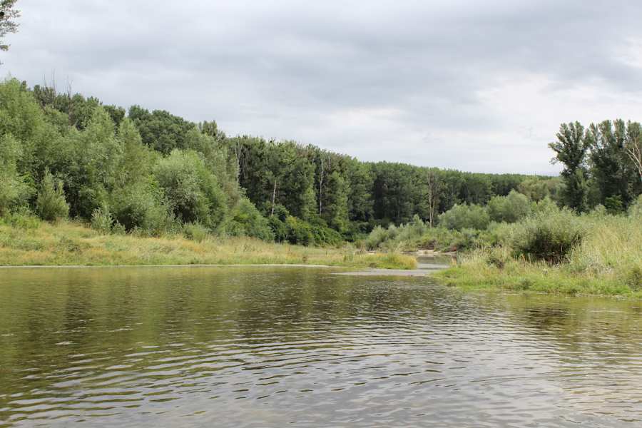 Nationalpark Donau-Auen