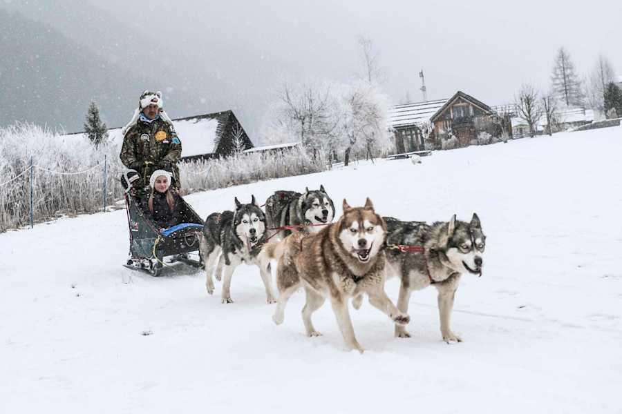 Der Servus-Alpenpokal am Weissensee, Kärnten