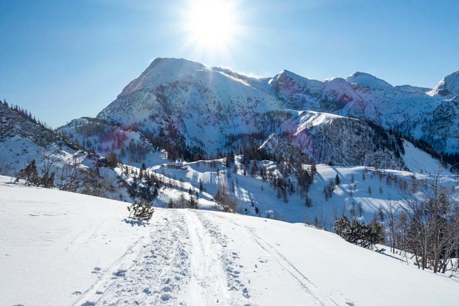 Der Schneibstein im Winter bei Morgenlicht
