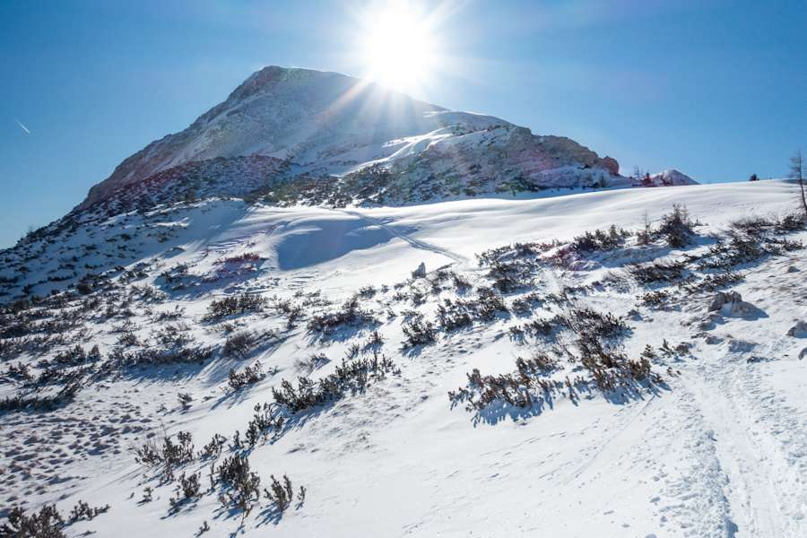 Skitour auf den Schneibstein
