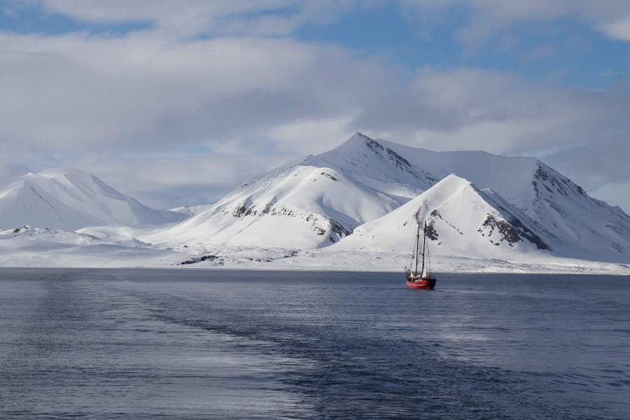 Manche wagen sich mit dem Segelboot so weit in den Norden.
