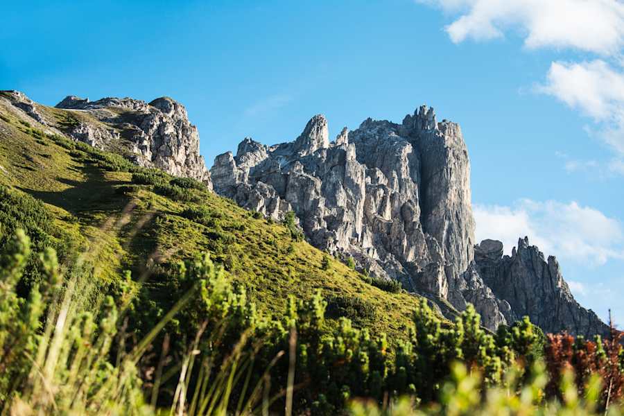 Elfer (2.205 m), der Hausberg von Neustift