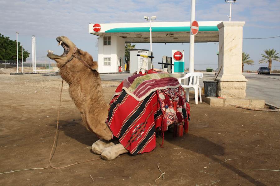 Wüstenwandern Israel