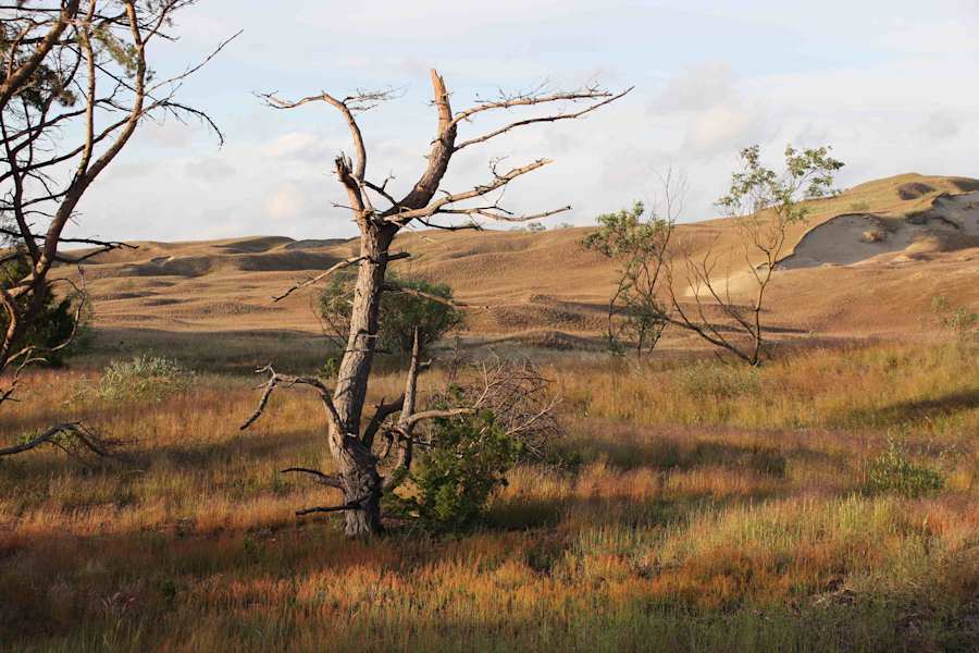 Kurische Nehrung Reise