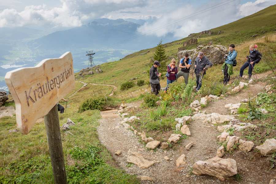 Alpenblumengarten Kitzbühel
